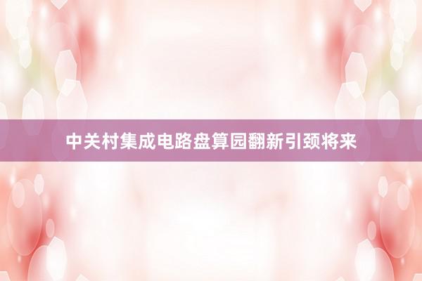 中关村集成电路盘算园翻新引颈将来