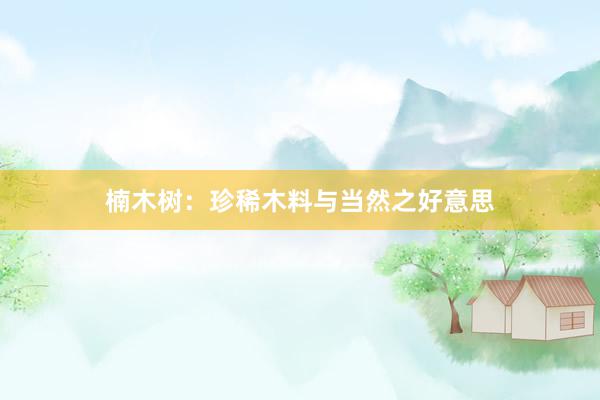 楠木树：珍稀木料与当然之好意思
