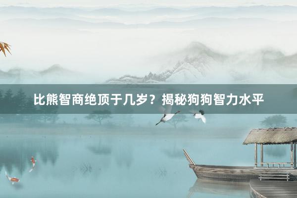 比熊智商绝顶于几岁？揭秘狗狗智力水平