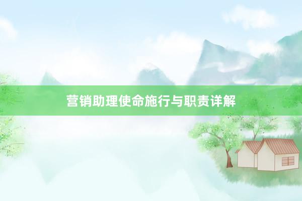 营销助理使命施行与职责详解